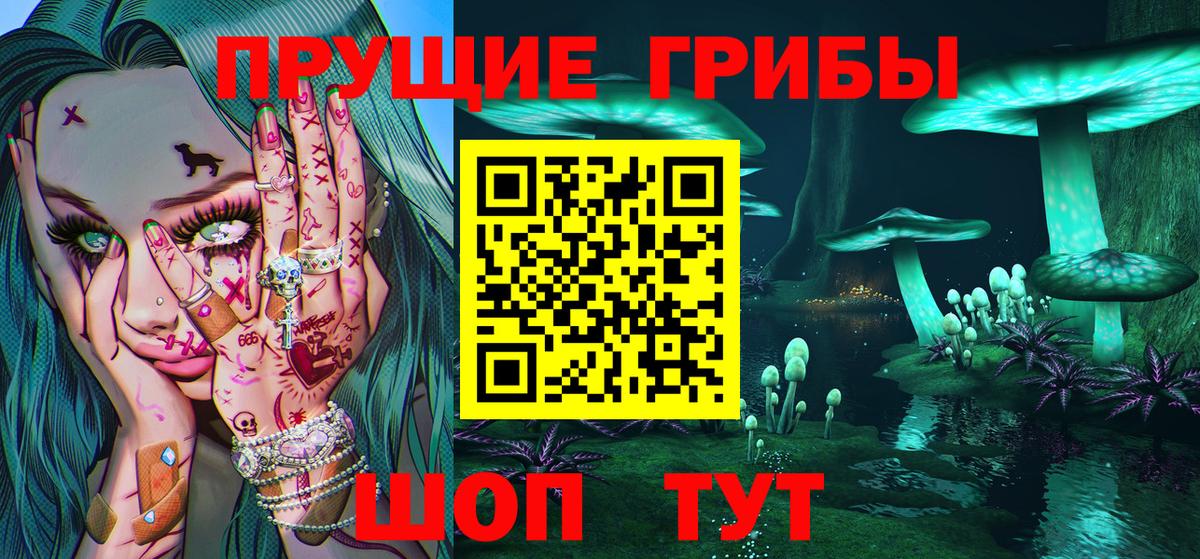 Псилоцибиновые грибы прущие грибы Северодвинск
